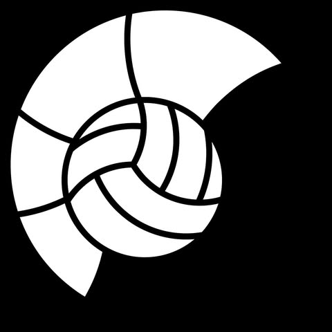 BeachPunk Team z.s. logo